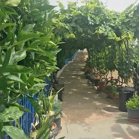 Estanco Viejo *