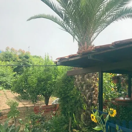 Estanco Viejo La Concepcion